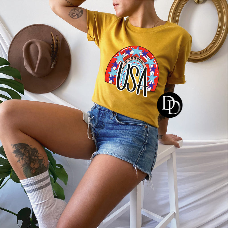 USA Rainbow *DTF Transfer*